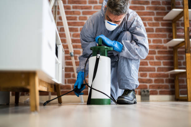 Real Estate Pest Inspections in Tullytown, PA